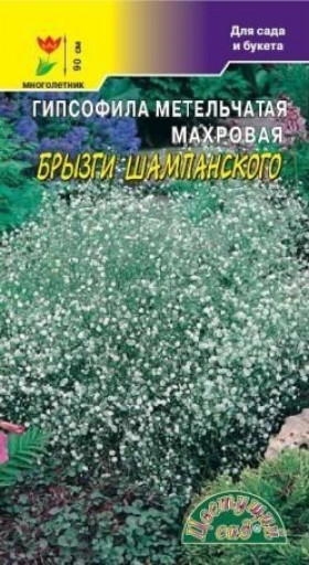 Брызги Шампанского/Цветущий Сад