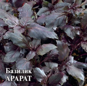 Арарат 10гр Гавриш