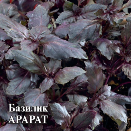 Арарат 10гр Гавриш