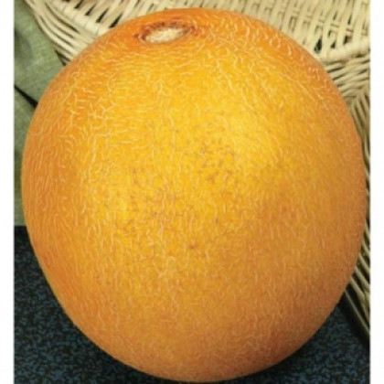 Колхозница 749/753 10гр Гавриш