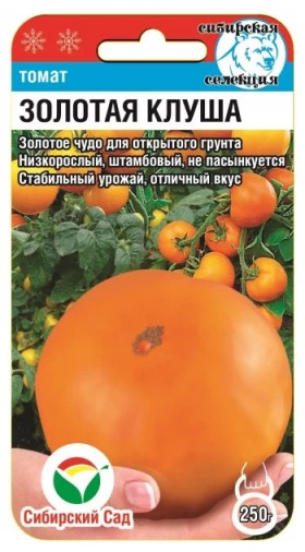 Золотая клуша СС