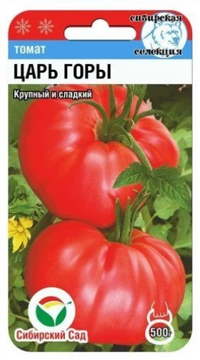 Царь Горы СС