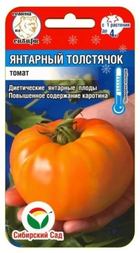 Янтарный толстячок СС