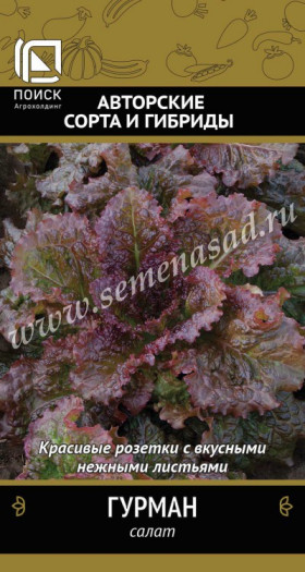 Гурман Ц(Поиск/Семетра)