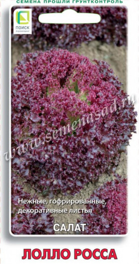 Лолло Росса Ц(Поиск/Семетра)