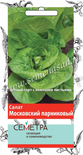 Московский парниковый лис. Ц(Поиск/Семетра)