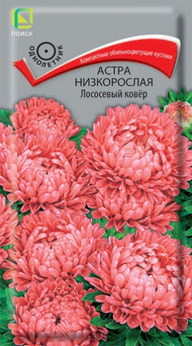 Лососевый ковер низкорослая Ц(Поиск)