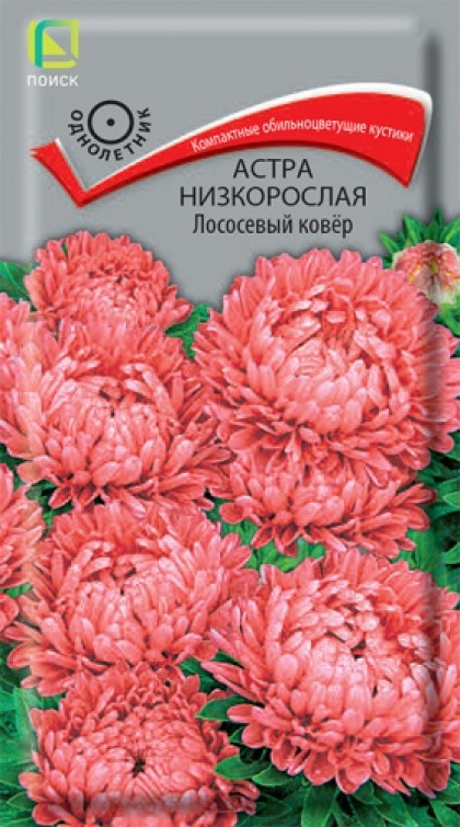 Лососевый ковер низкорослая Ц(Поиск)