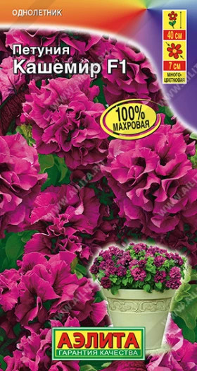 Кашемир обильноцветущая Ц(А)