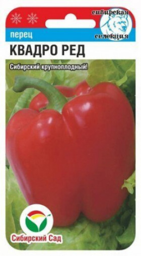 Квадро ред СС