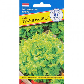 Гранд Рапидс Ц(П)