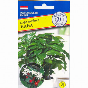 Арабика Нана Ц(П)