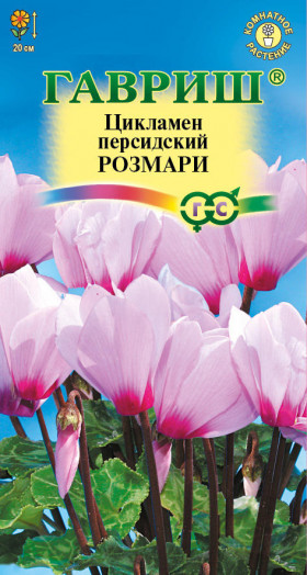 Розмари 3 шт. Ц(Г)