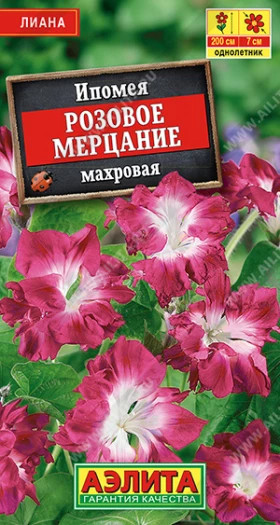 Розовое мерцание махровая Ц(А)