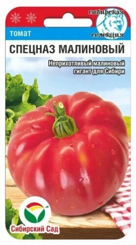 Спецназ малиновый СС