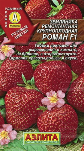 Роман F1 Ремонтантная крупноплодная Ц(А)