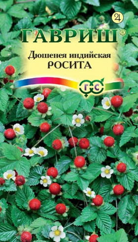 Росита индийская Ц(Г)