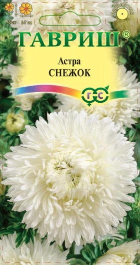 Снежок Ц(Г) астра