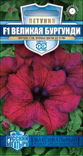 Великая бургунди Ц(Г)