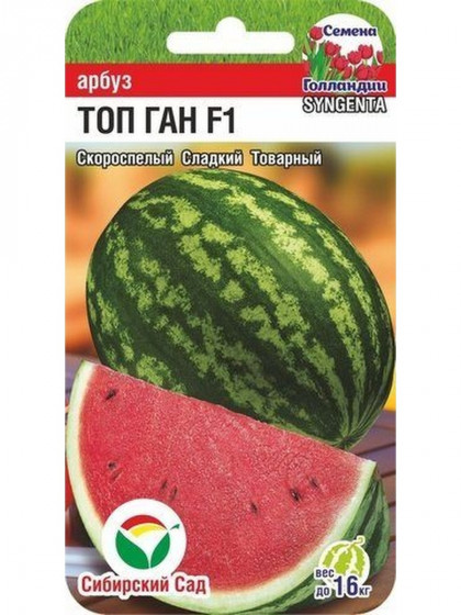 Топ Ган СС
