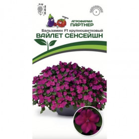 Вайлет Сеншейн 5шт Партнер