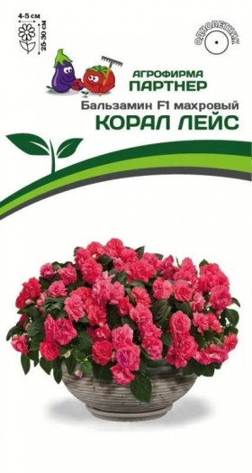 Корал Лэйс 5шт Партнер