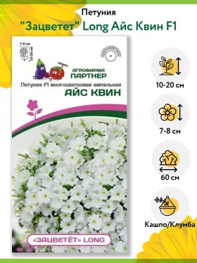 Зацветёт Long Айс Квин амп. 5шт Партнер