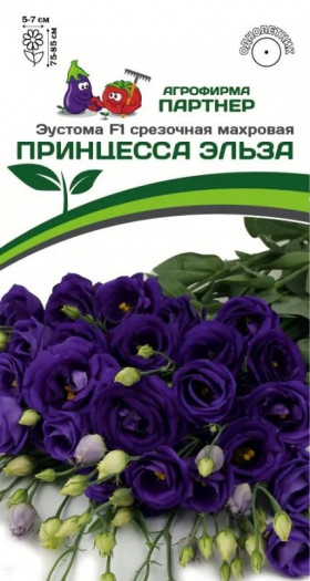 Принцесса Эльза 5шт Партнер