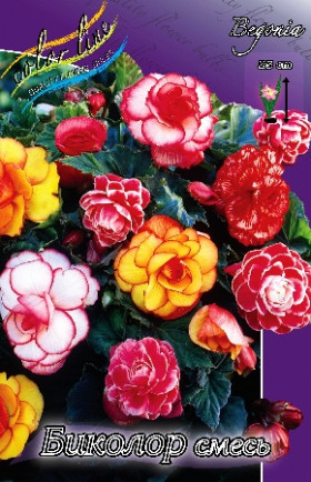 Биколор смесь 3шт