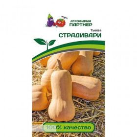 Страдивари 10шт Партнер