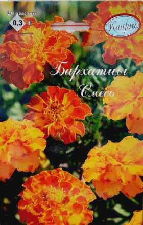 Бархатцы смесь низкорослая Каприс