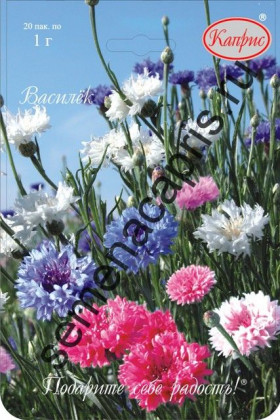 Василек Центауреа Фейерверк Каприс