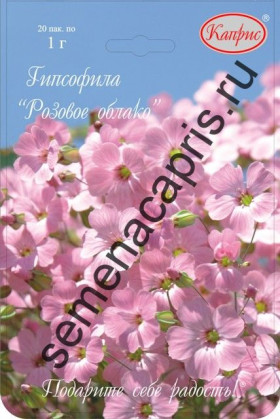 Гипсофила розовая Розовое облако Каприс