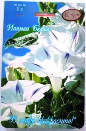 Ипомея Белая Лебедь Каприс