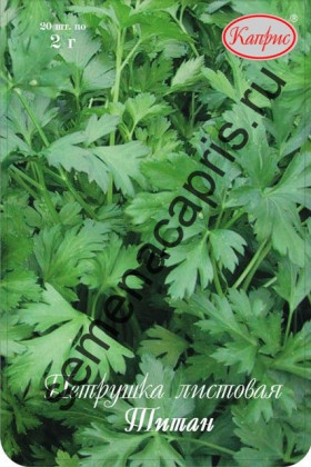 Петрушка листовая Титан Каприс