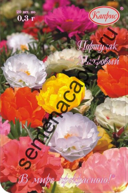 Портулак Княжеский коврик смесь Каприс