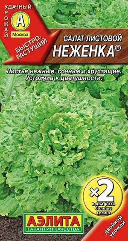 Неженка зелен. лист Ц(А)*2