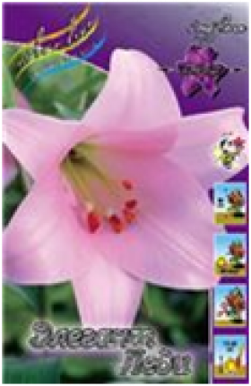 Элегант Леди (лонг) 5шт