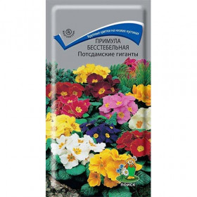 Потсдамские гиганты Ц(Поиск)