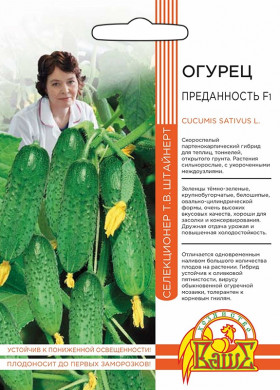 Преданность Ц(УД) б/ф