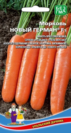 Новый Герман Ц(УД)