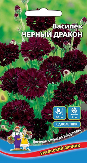 Черный дракон Ц(УД)