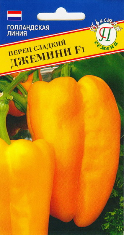 Джемини Ц(П)