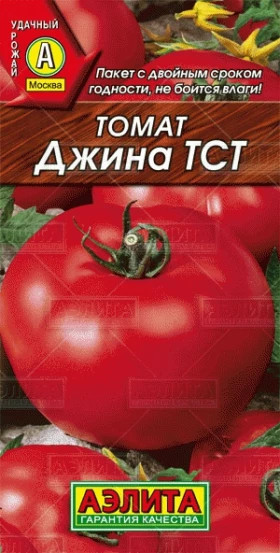 Джина ТСТ Ц(А)