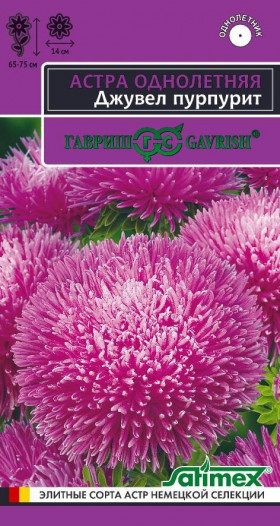 Джувел Пурпурит Ц(Г)