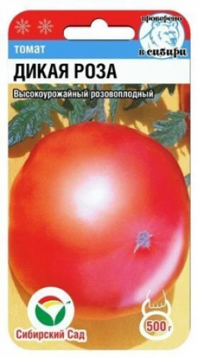 Дикая роза СС