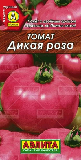 Дикая роза Ц(А)