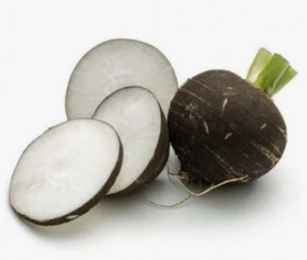 Черная Испанская Круглая 1гр /Элитные семена