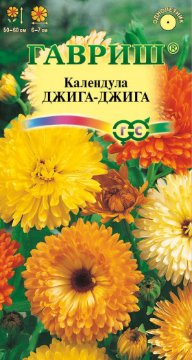 Джига-Джига Ц(Г)