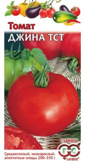 Джина ТСТ Ц(Г)